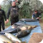 Подводная охота в Ивановской области